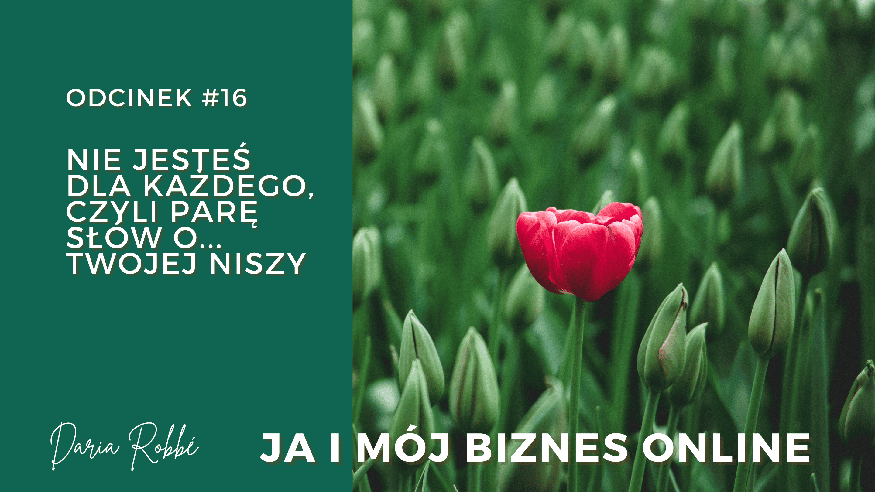 You are currently viewing #16 Nie jesteś dla każdego, czyli parę słów prawdy o Twojej… niszy
